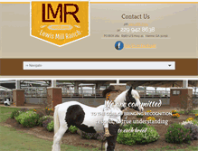 Tablet Screenshot of lewismill.com